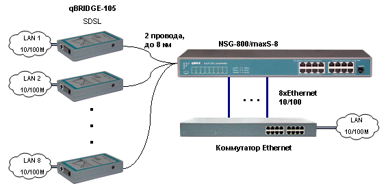 Nsg 800  -  11